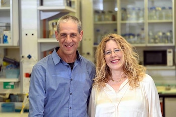 Instituto Weizmann de Ciencias.“Cuando un estudiante me preguntó si me importaría trabajar con Sharon, le dije: ‘Para nada. Es mi hermana’”.