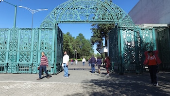 Semáforo naranja en CDMX: Complejo