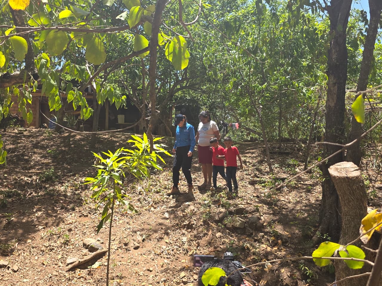 La sequía en Choluteca afectó la agricultura y la ganadería, dos actividades de las que dependen muchas familias para producir alimentos e ingresos.