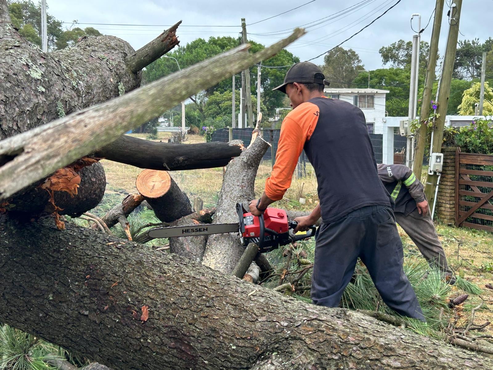 El día después del temporal en Uruguay (Intendencia de Canelones)