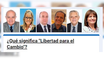 El panel que integrará la