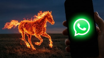 Cómo activar en WhatsApp el