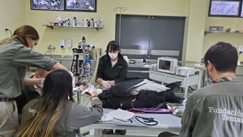 La alianza entre el Hospital