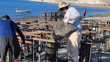 El proyecto permite reutilizar las