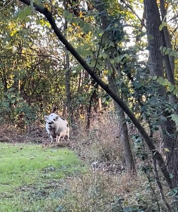 Una de las tantas ocasiones