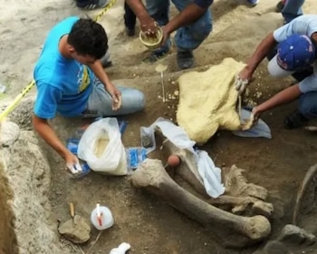 Hallazgos de fósiles animales en el río Tomayate