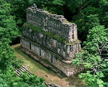 Edificio de piedra antiguo con relieves y vegetación en sus muros, rodeado de una densa selva. Una escalera de piedra se observa a la izquierda