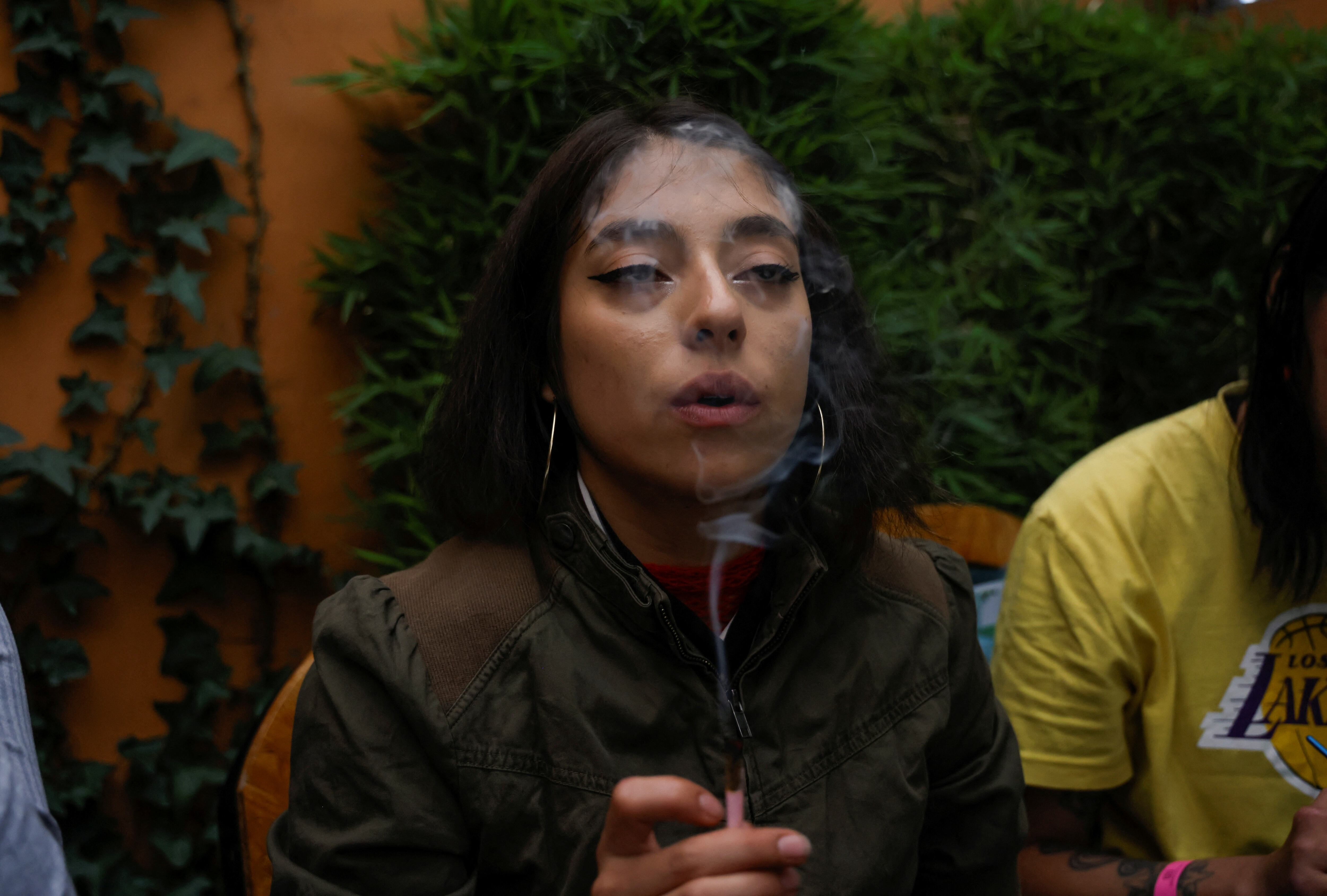 El uso constante de cannabis incrementa la susceptibilidad a traumas cerebrales graves, según expertos. (REUTERS/Karen Toro)