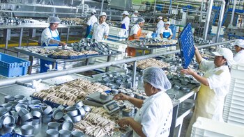 SNI agrupa a micro, pequeña,