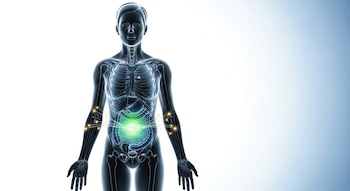 Renderização 3D de figura humana em pé com transparência no tronco, mostrando órgãos internos e tecido adiposo abdominal destacados em verde com rótulo C3 e caminho de luz.