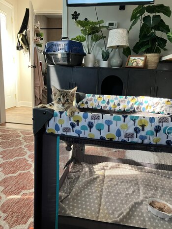 Su indomable espíritu continúa sorprendiendo