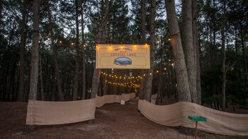 Noctambulante CDMX; precios y fecha