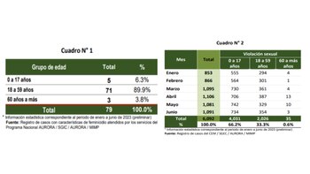 Estadísticas de feminicidio y violencia
