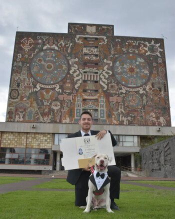 Boss disfruta de los paseos