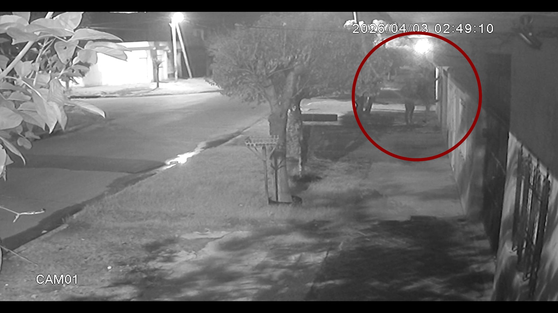 El momento en que los tres delincuentes armados irrumpieron en la casa de la víctima.