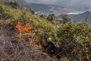 El distrito activó su estrategia de emergencias para coordinar a los organismos de socorro - crédito DAGRD / X