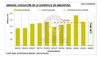Evolución de la superficie destinada