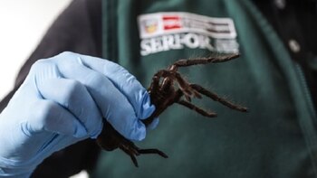 En el Aeropuerto Internacional Jorge