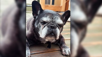 “Te amamos Clerchu... Gracias por