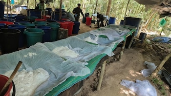 Ofensiva del Ejército en la Orinoquía permitió capturas, decomisos y destrucción de laboratorios: este es el balance operacional