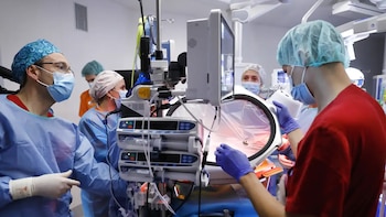 Científicos españoles crean la primera placenta artificial de Europa para fetos extremadamente prematuros