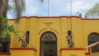 Un equipo internacional de científicos,