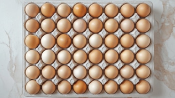 Maple de huevos - (Imagen Ilustrativa Infobae)