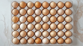 Huevos y cerdo: las exportaciones alcanzaron números récord y se abren nuevos mercados en Europa y Asia
