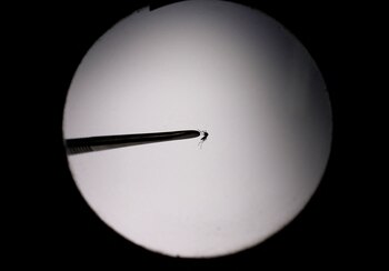 Se notificaron 100.675 casos de