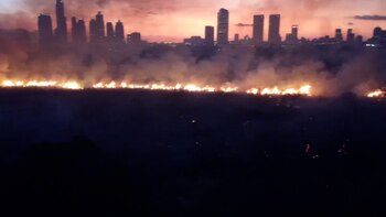 Cómo trabaja el escuadrón de