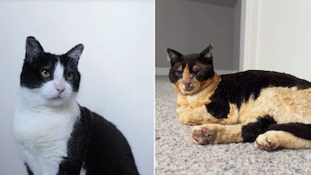 Beth antes y después del incendio (Laurel Ysebaert)