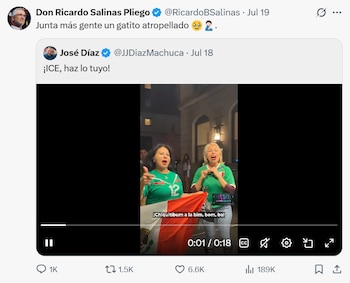 Captura de pantalla de un tuit de Ricardo Salinas Pliego, que cita a José Díaz. Un video con dos mujeres; una sostiene una bandera roja y blanca