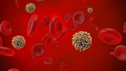 Investigación sobre el cáncer: las proteínas de la sangre podría advertir riesgos siete años antes del diagnóstico