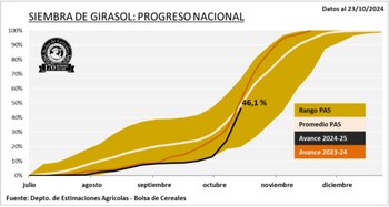 Tras las lluvias, las labores