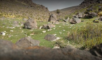 La reserva privada Don Carmelo,