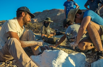 Un grupo de paleontólogos bautizó