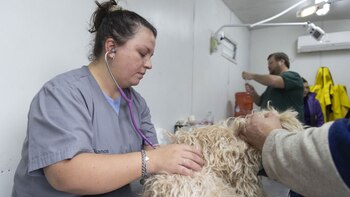 Bárbara Yáñez (Maggie Ahmar Dakno/GCBA)