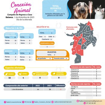 Como resultado de la alborada