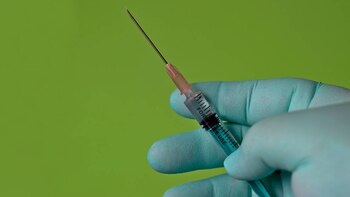 Qué es la apitoxina y