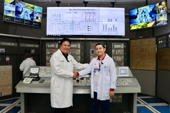 En el reactor RP-10, especialistas