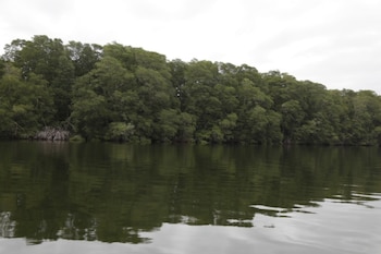 El país posee cerca de 183,774 hectáreas de manglares distribuidas en ambas costas. (MiAmbiente)