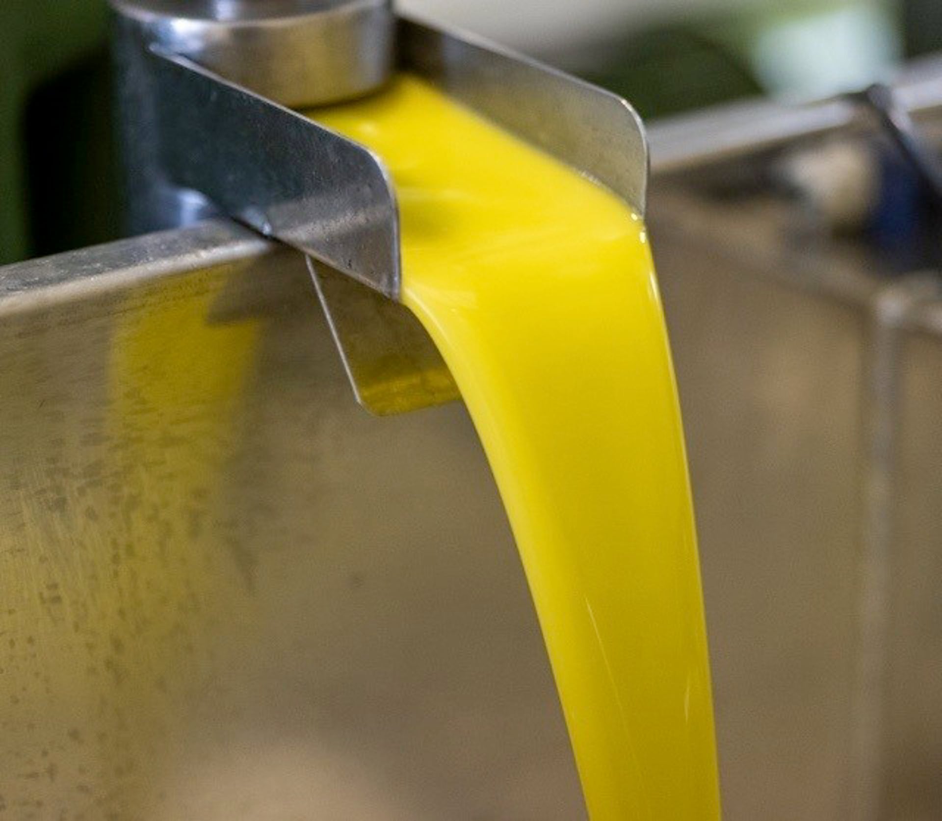 Fraude en el aceite de oliva: 12 detenidos por vender aceite de calidad inferior como virgen extra ecológico