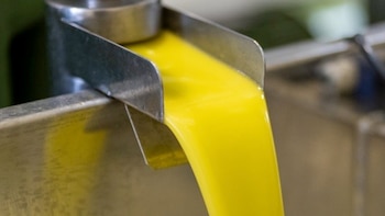 Las ventas de aceite superan los 349 millones de litros (+0,96%) en el primer semestre 2025/26, según Anierac