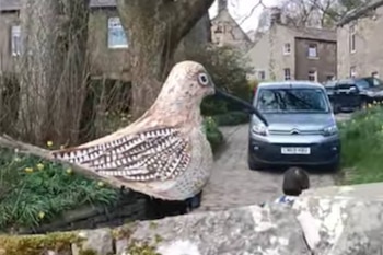 Un hombre camina 85 kilómetros disfrazado de “pájaro gigante” para salvar a una especie en peligro