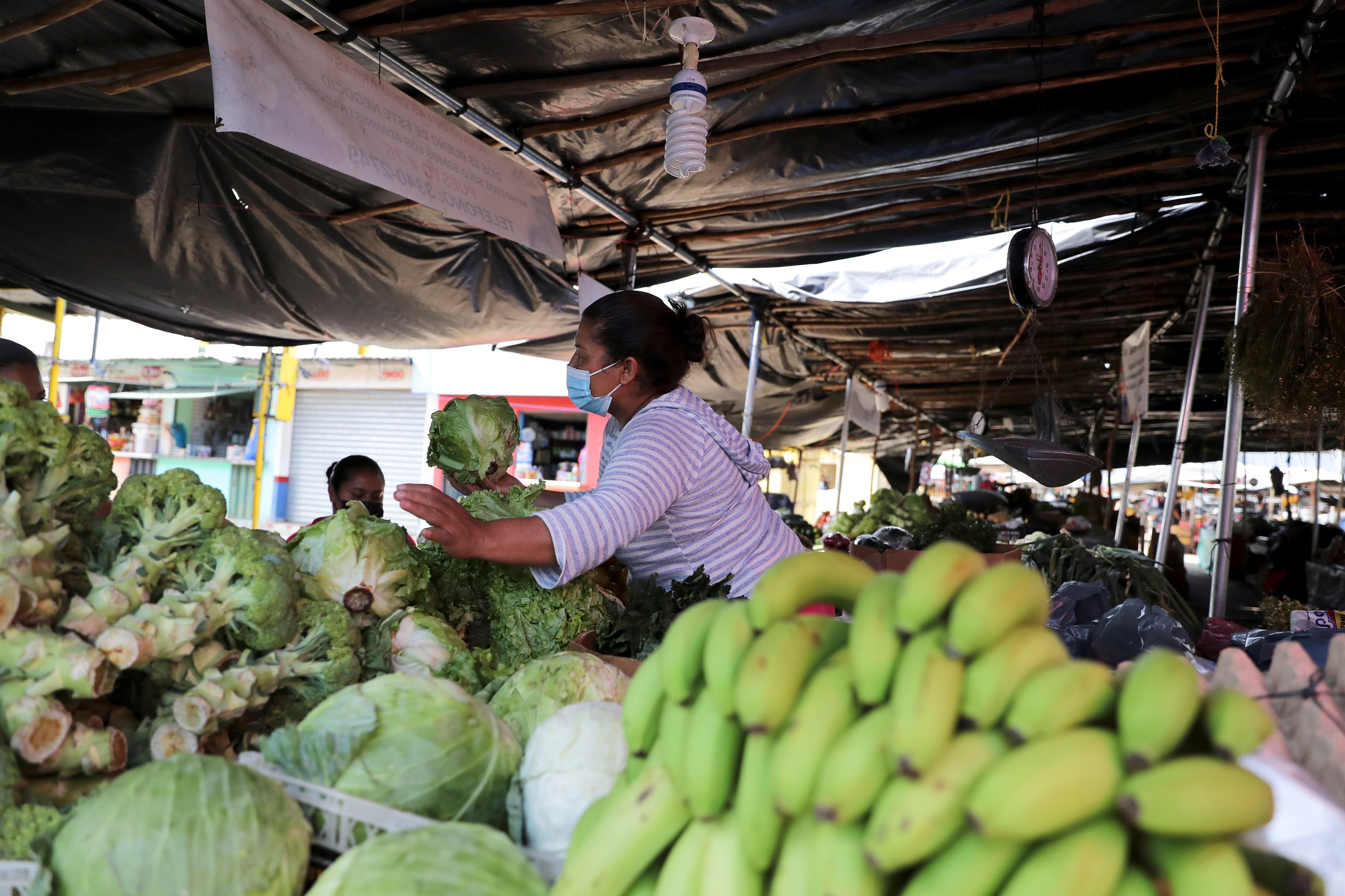 Una mujer vende frutas y verduras en un mercado en Tegucigalpa (Honduras), en una fotografía de archivo. EFE/Gustavo Amador