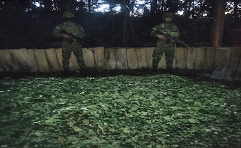 Un laboratorio de permanganato de