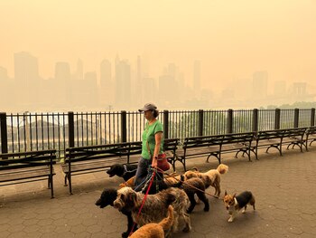 La vista desde el puente