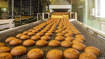 aceite - alimentos - industrias