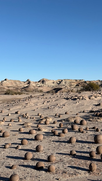 Campo desértico con numerosas rocas esféricas de diversos tamaños en primer plano, seguido de terrenos áridos, montañas estratificadas y cielo azul claro