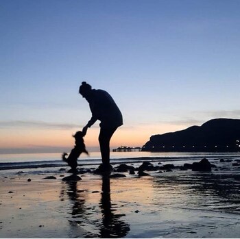 "Si no hay perros en